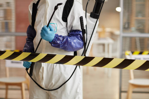 Professional Sewage Cleanup technician working in Mansfield, MO